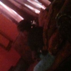 Meet your Posher, Vicky